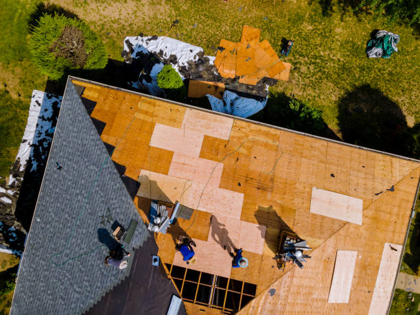Best Storm Damage Roof Repair  in Kalona, IA