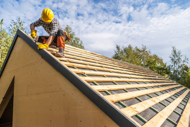 Best Roof Maintenance Services  in Kalona, IA