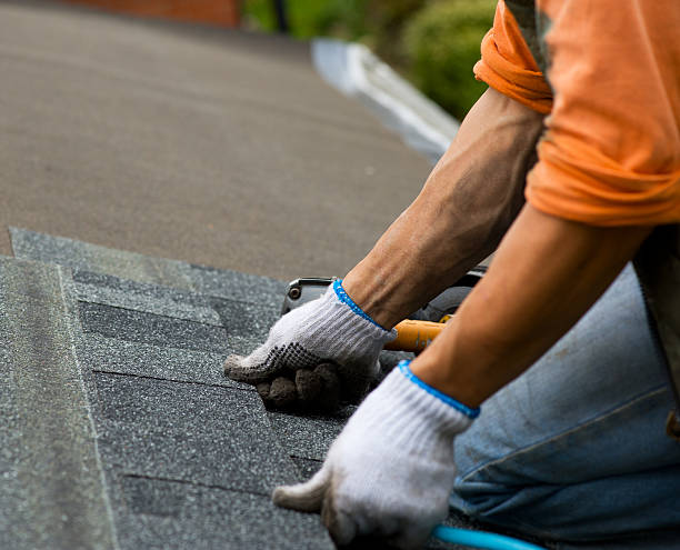 Best Storm Damage Roof Repair  in Kalona, IA